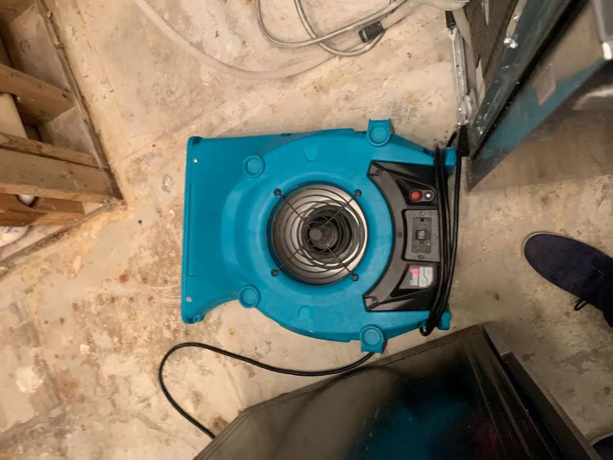 Air mover drying equipment for Mold Remediation & Removal in Hoboken